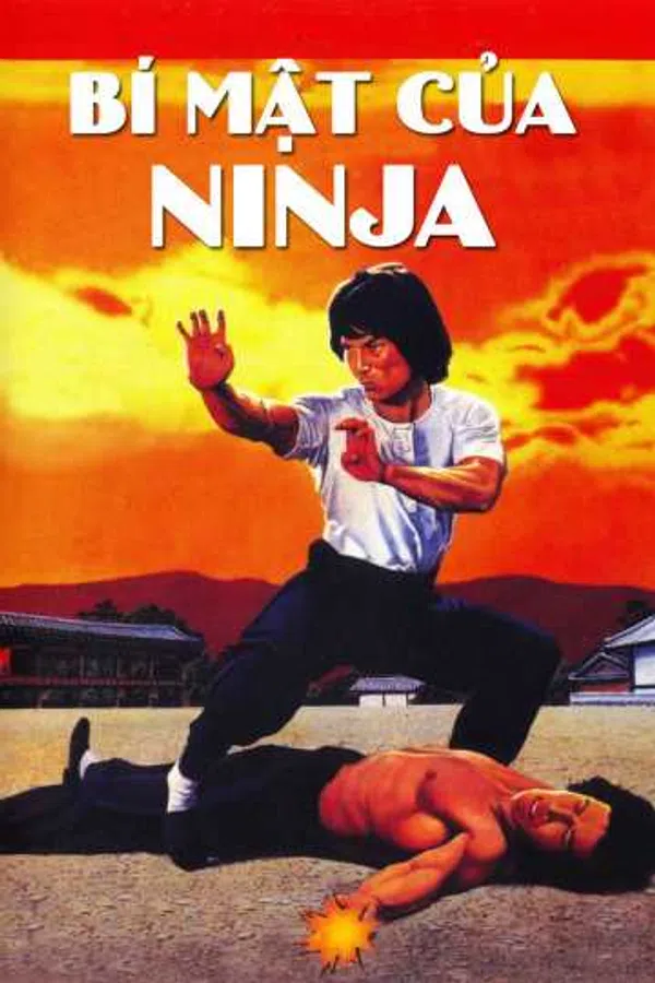 Poster phim Bí Mật Của Ninja trên Motchill